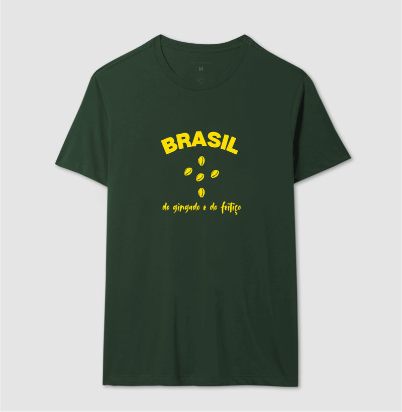 BRASIL DO GINGADO E DO FEITIÇO