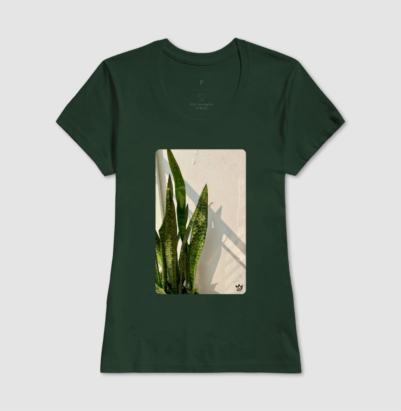 ESPADAS DE SAO JORGE