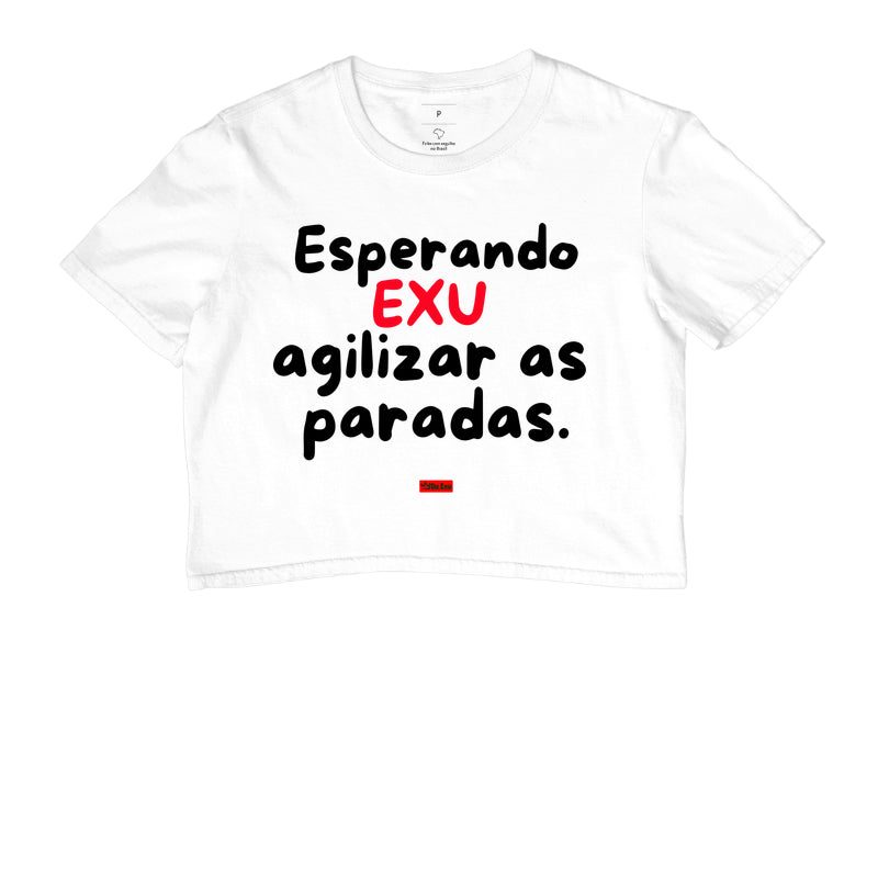 ESPERANDO EXU AGILIZAR AS PARADAS