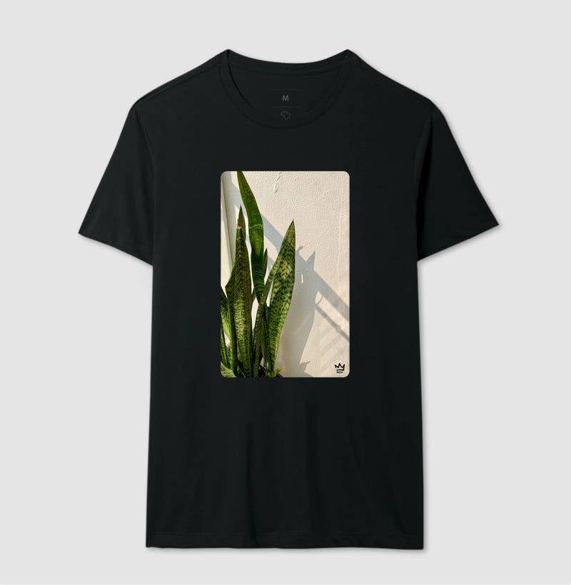 ESPADAS DE SAO JORGE