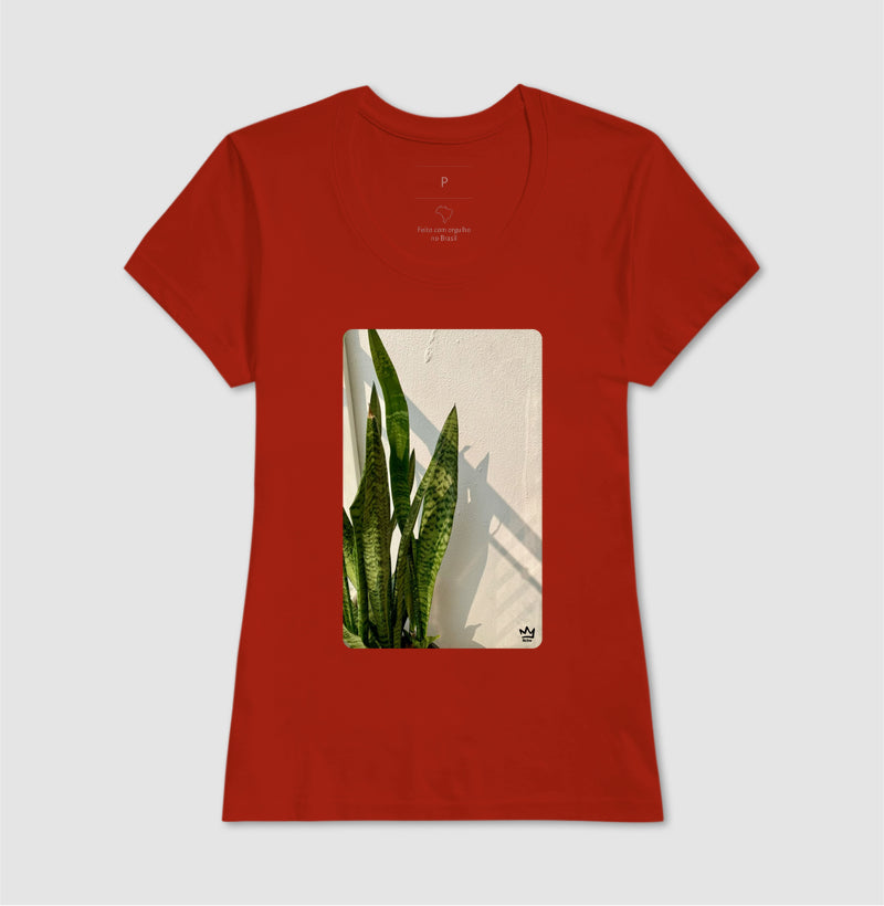 ESPADAS DE SAO JORGE