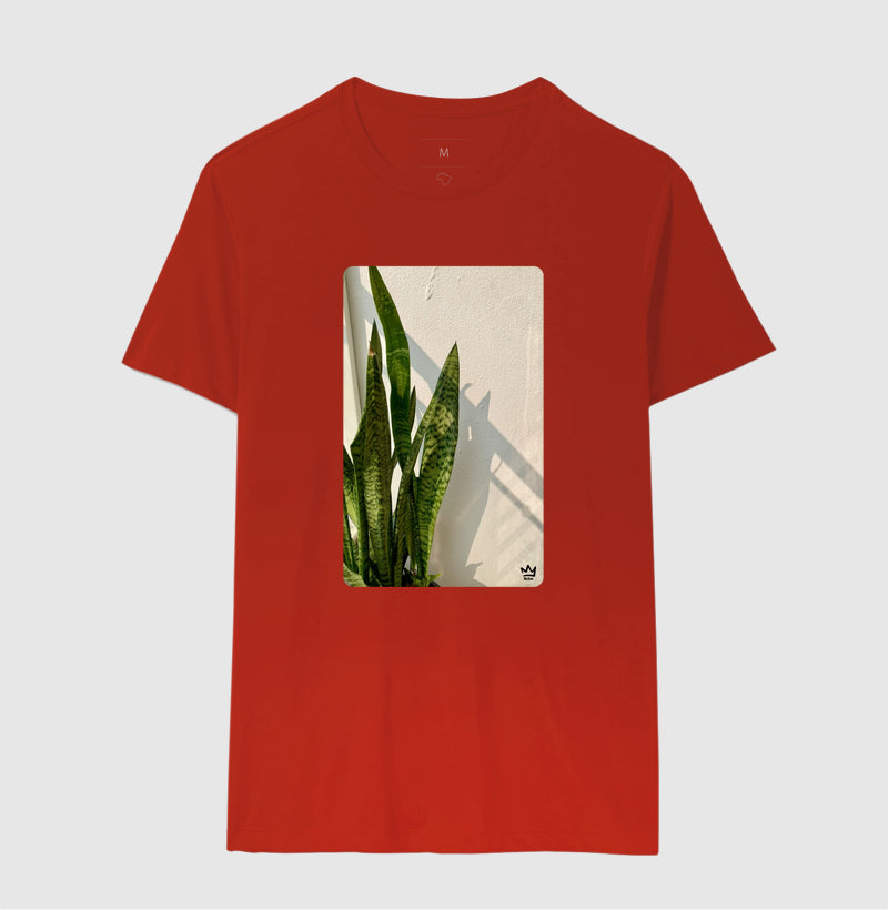 ESPADAS DE SAO JORGE