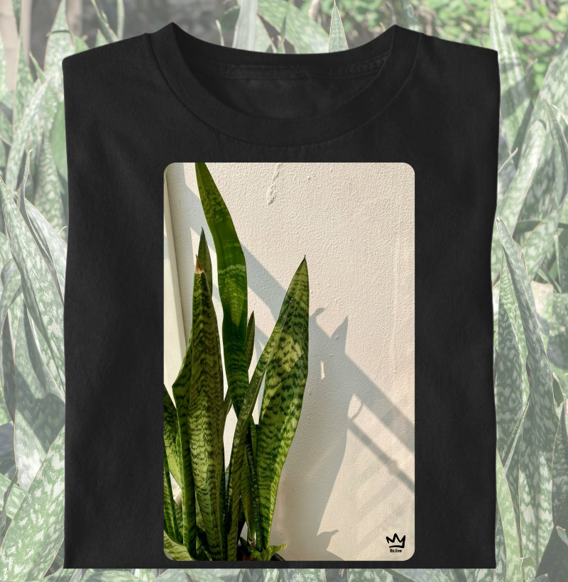 ESPADAS DE SAO JORGE