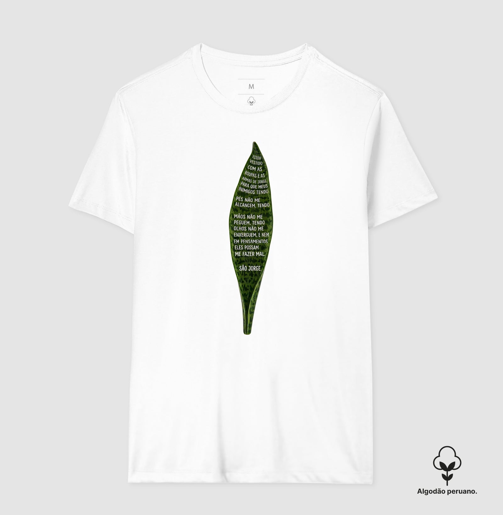 ESPADA DE SAO JORGE EM ORACAO