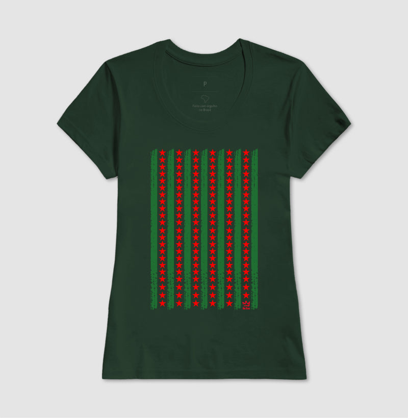 BANDEIRA DE COSME&DAMIAO