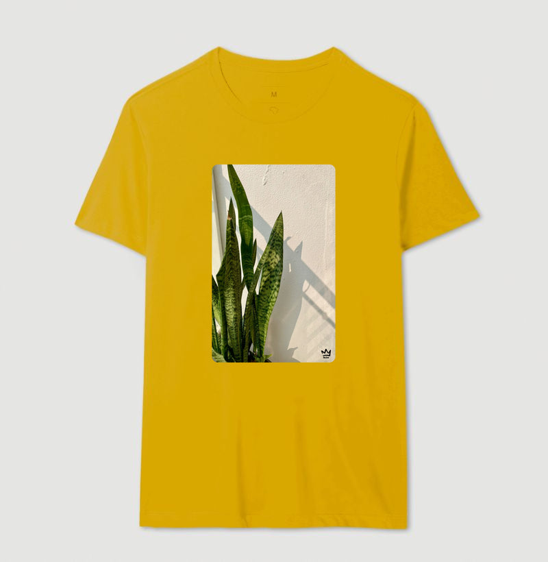 ESPADAS DE SAO JORGE