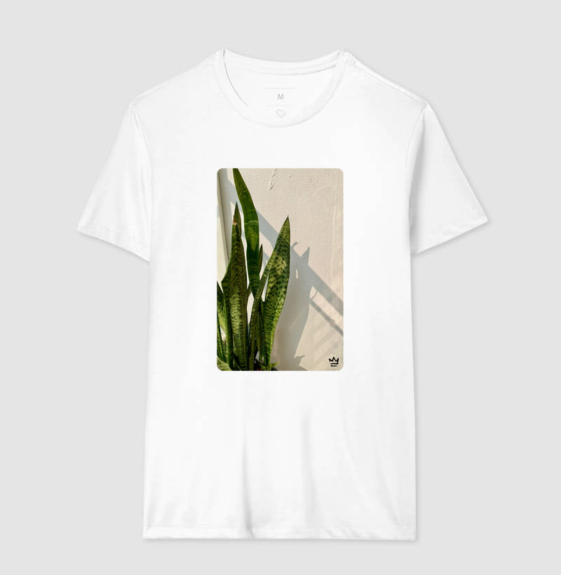 ESPADAS DE SAO JORGE